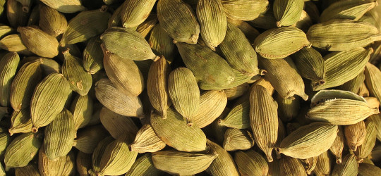 Kardamom - Früchte © Ernst Frühmann