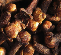 Gewürznelke © Ernst Frühmann