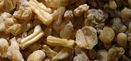 Weihrauch © Ernst Frühmann