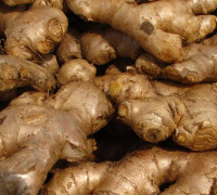 Ingwer © Ernst Frühmann