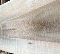 Gemeine Esche © Ernst Frühmann